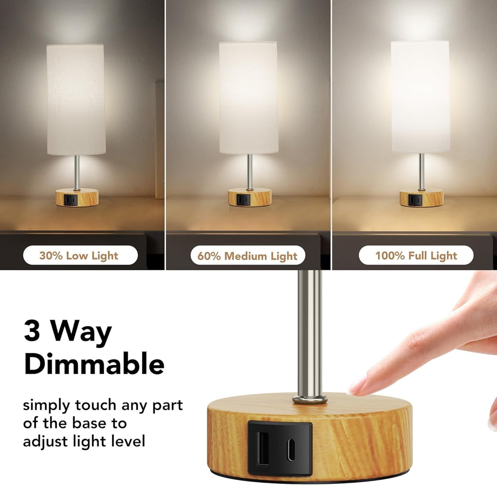 Elegant Touch Control Lamp Duo