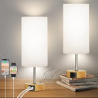 Elegant Touch Control Lamp Duo